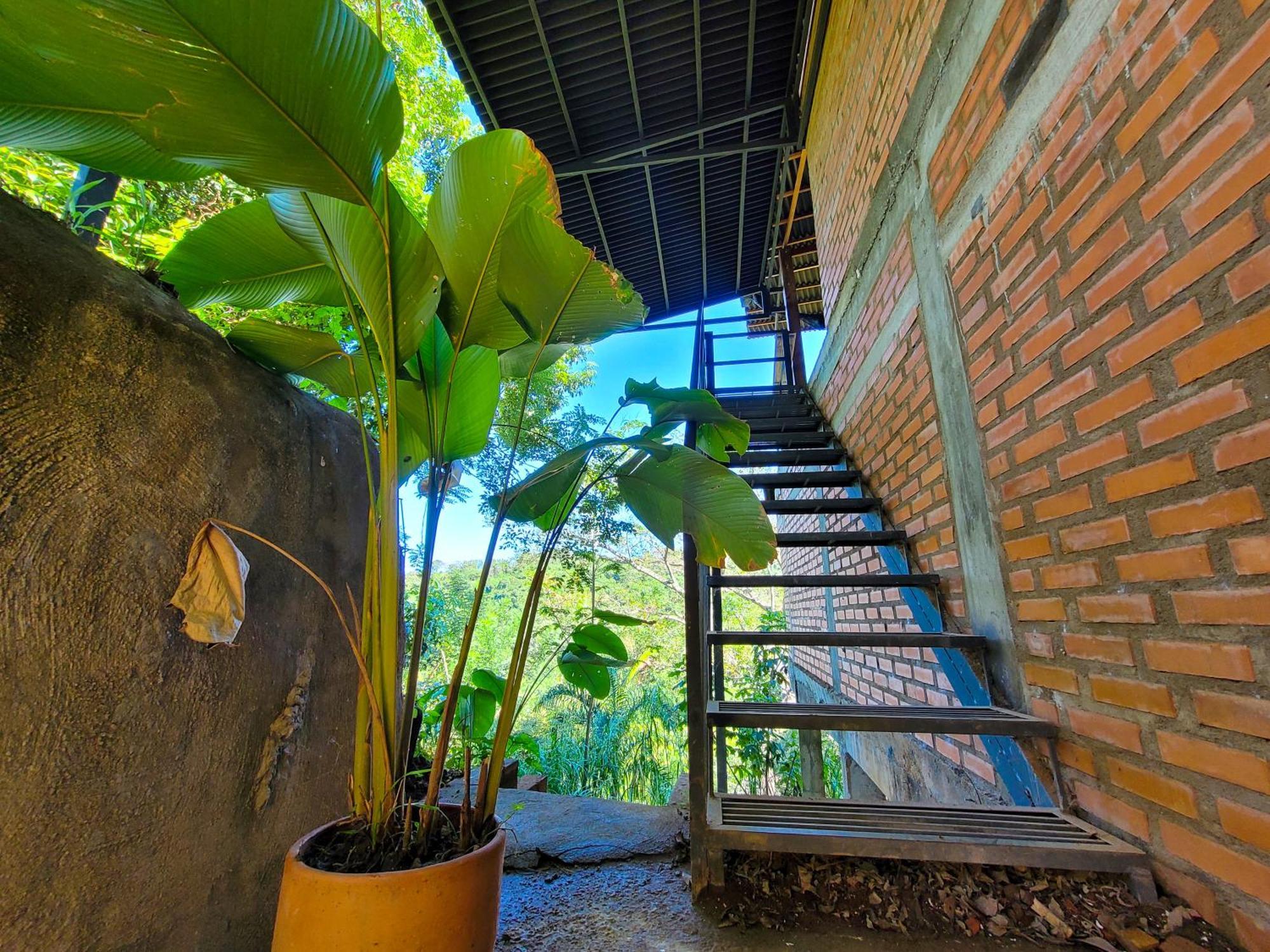 Pistacho Hostel Minca Ngoại thất bức ảnh
