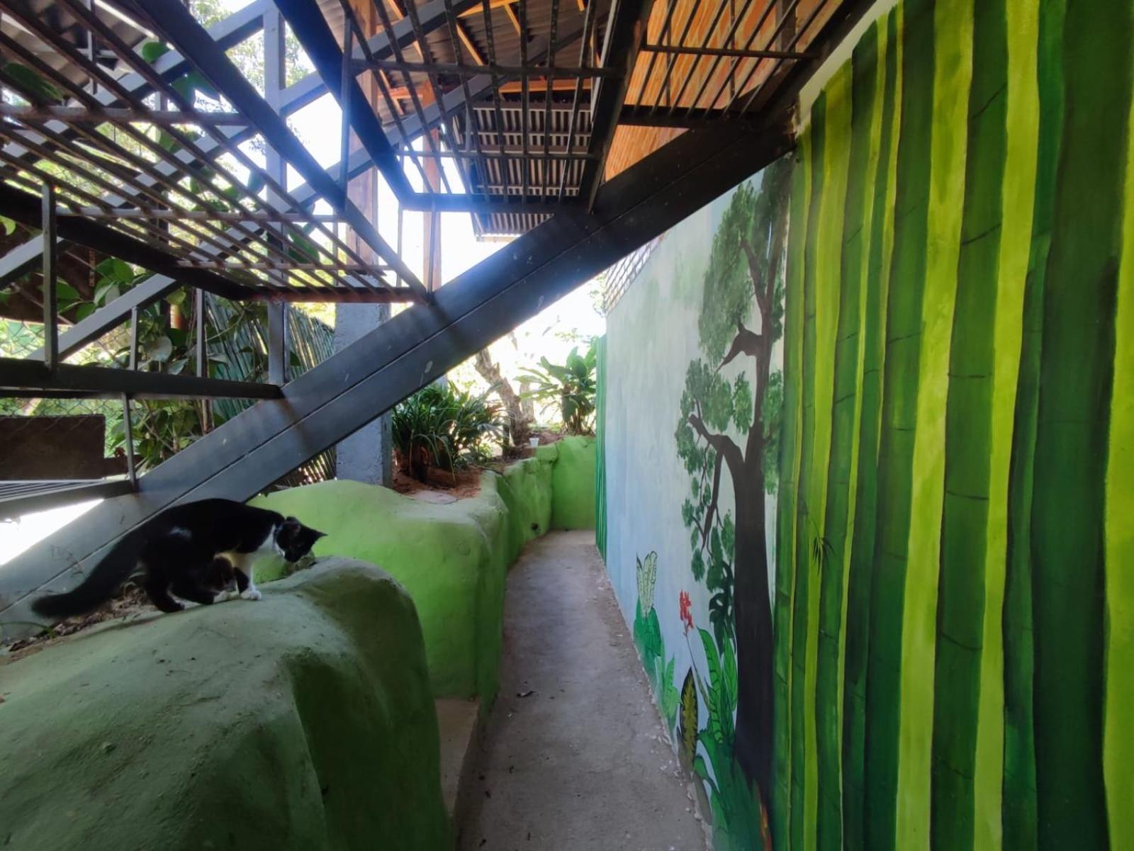 Pistacho Hostel Minca Ngoại thất bức ảnh